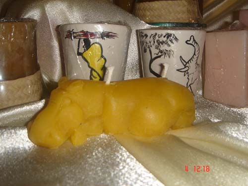 DSC02201