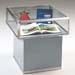 CounterDisplayCases11
